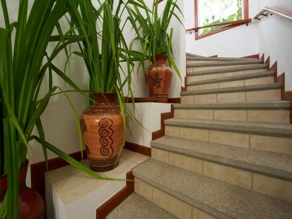 Tamarindo Home 964752