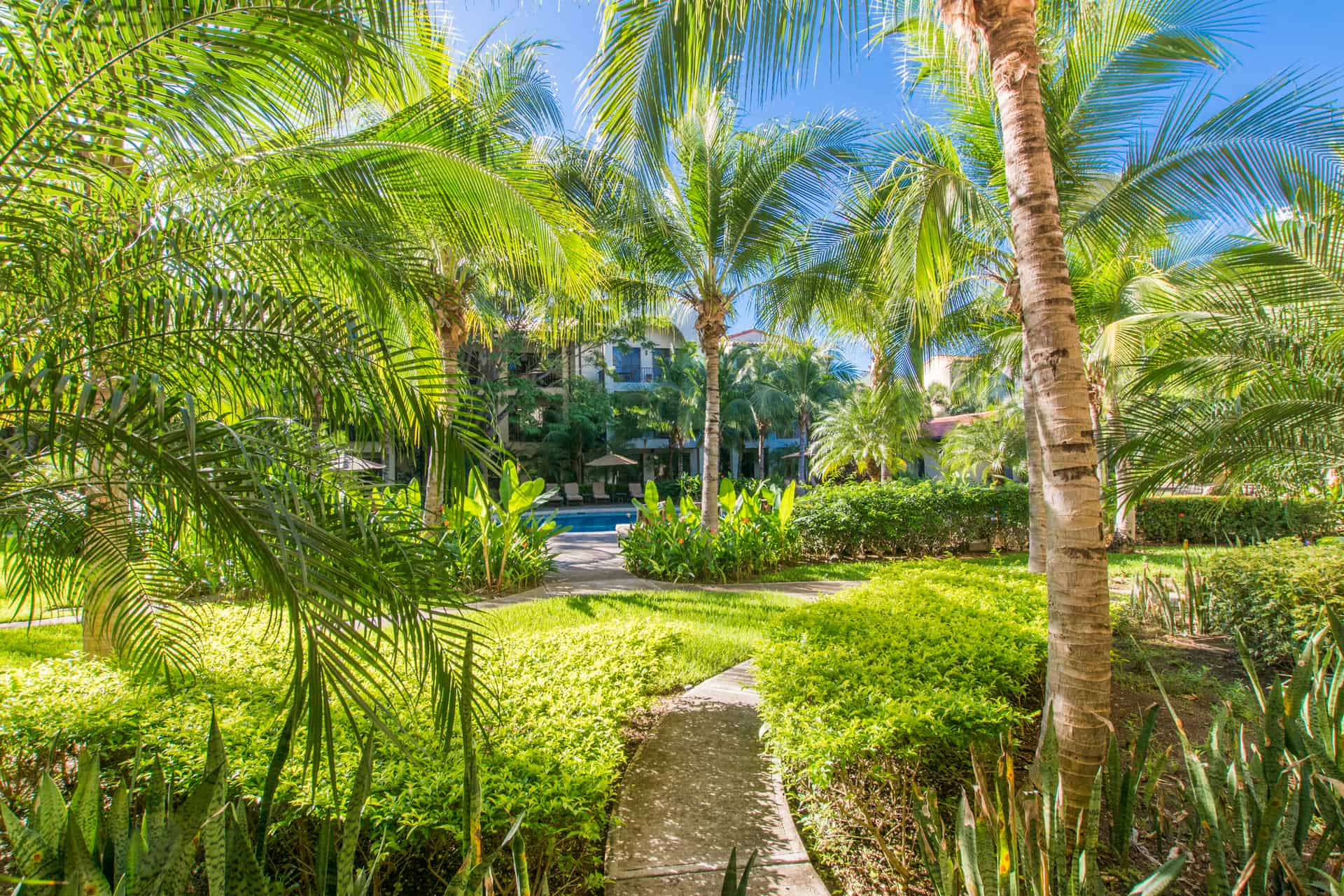 Playa Hermosa  Guanacaste Condo 964776