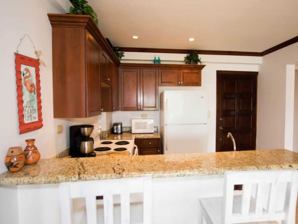 Tamarindo Condo 964780