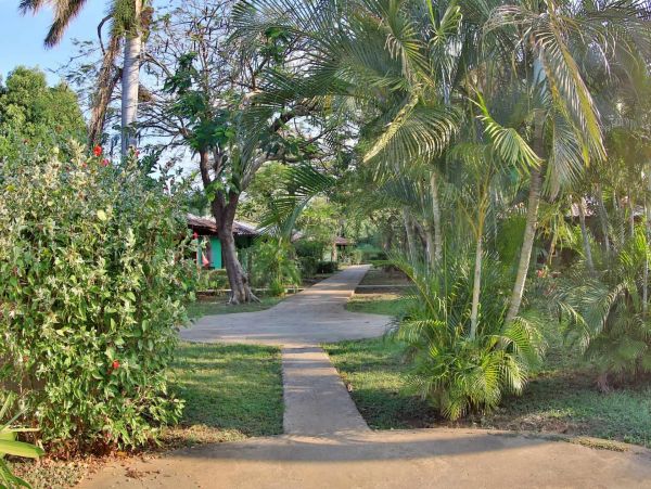 Tamarindo Home 964793
