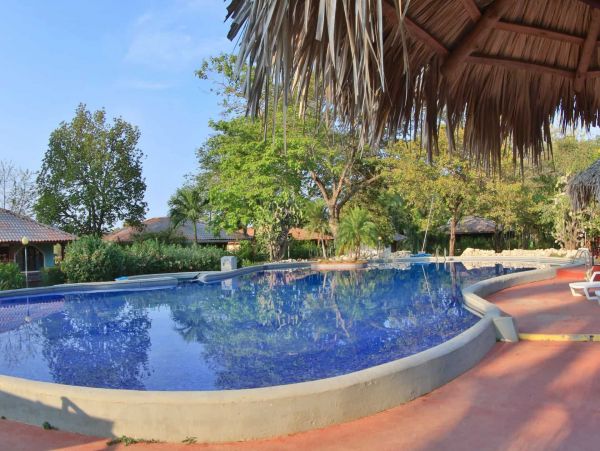 Tamarindo Home 964793