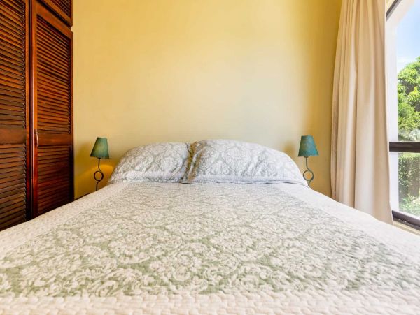 Tamarindo Condo 964794