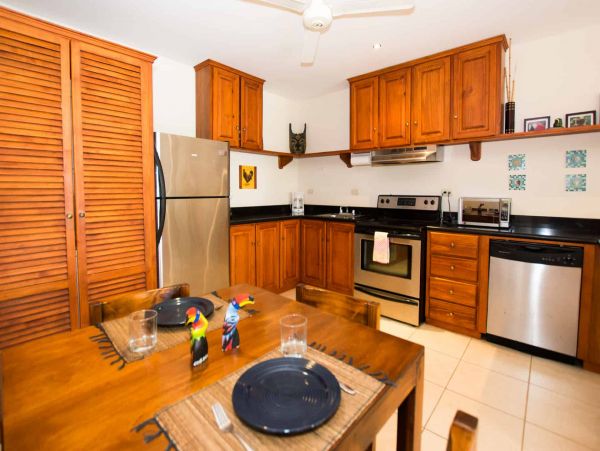 Tamarindo Condo 964795