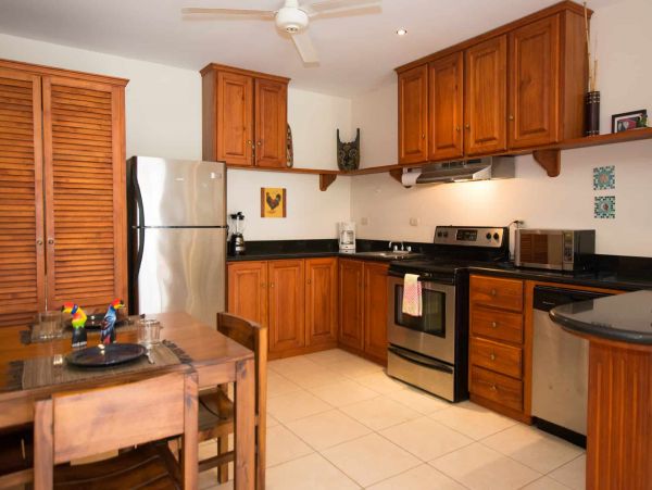 Tamarindo Condo 964795