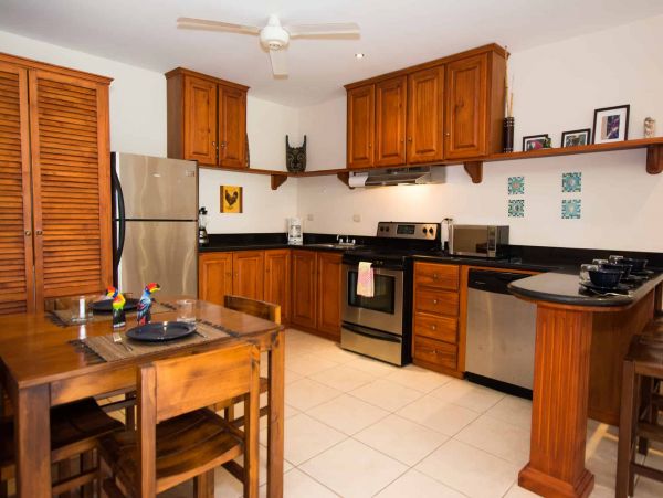 Tamarindo Condo 964795