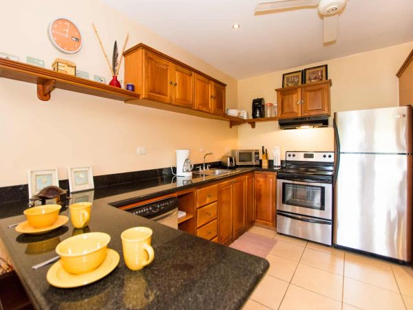 Tamarindo Condo 964802