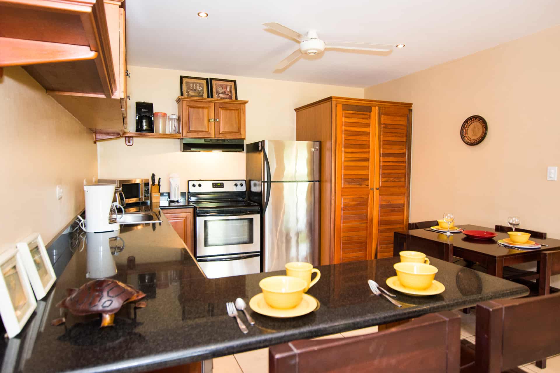 Tamarindo Condo 964802