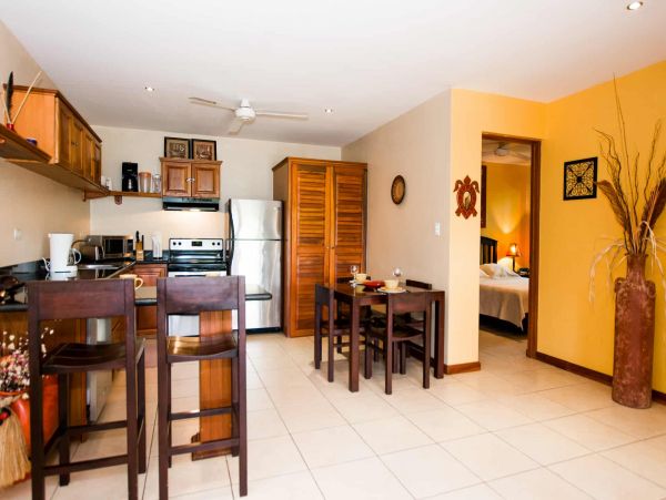 Tamarindo Condo 964802