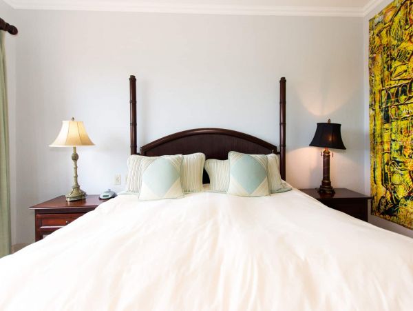 Tamarindo Condo 964805