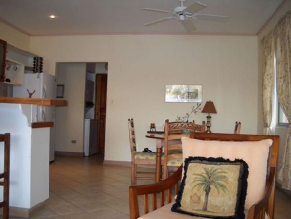 Tamarindo Condo 964806