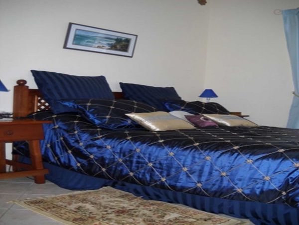 Tamarindo Condo 964806