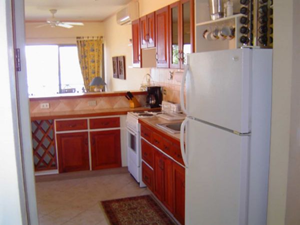 Tamarindo Condo 964806