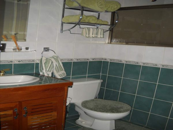 Tamarindo Condo 964806