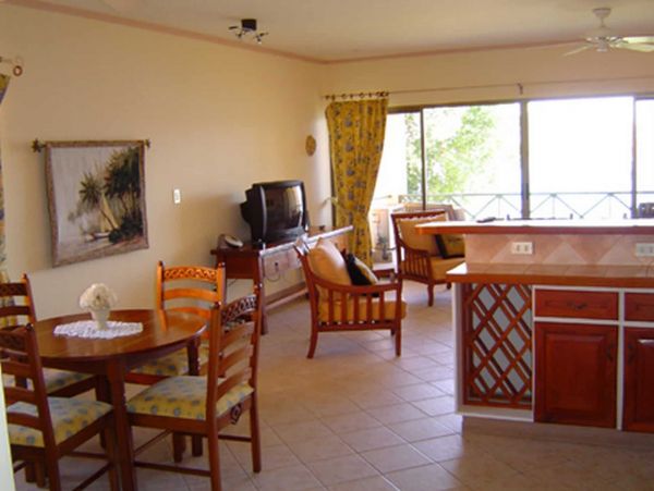 Tamarindo Condo 964806