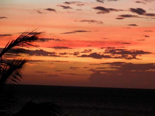 Playa Flamingo Condo 964807