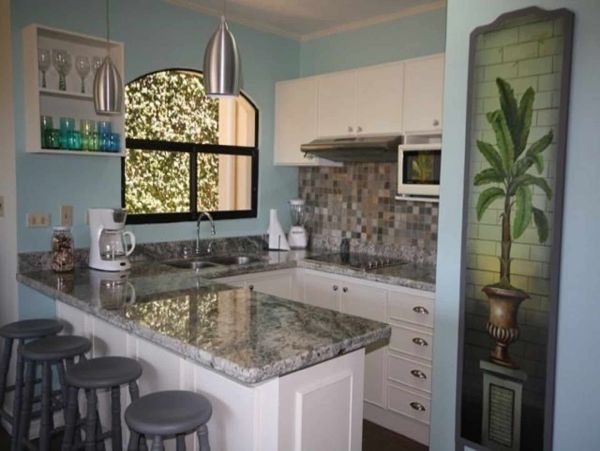 Tamarindo Condo 964811