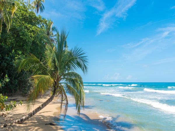Gorgeous 6 Bedroom Pool Villa in Guanacaste Walk To Beach