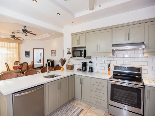 Tamarindo Condo 964820