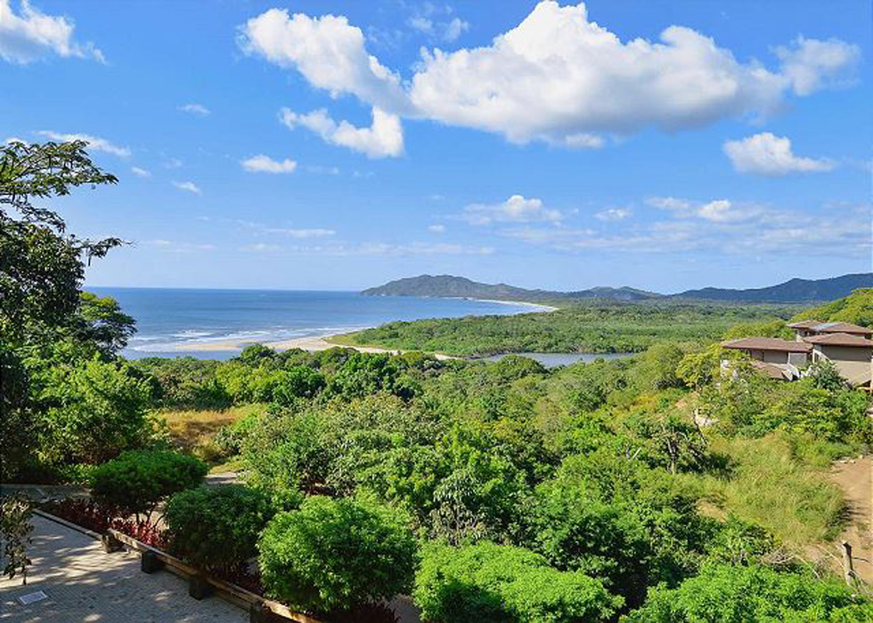 Tamarindo Home 964823