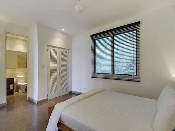 Tamarindo Home 964823