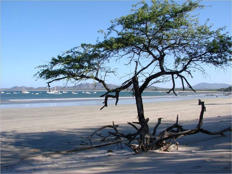 2 Bedroom Condo across the street from Langosta Beach