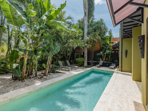 Tamarindo Home 964827