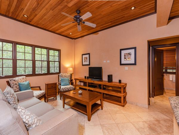 Tamarindo Condo 964832