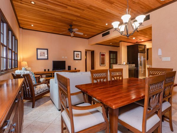 Tamarindo Condo 964832