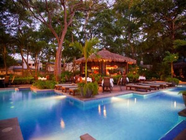 Tamarindo Condo 964832