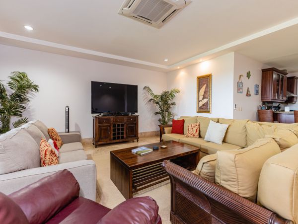 Tamarindo Condo 964833