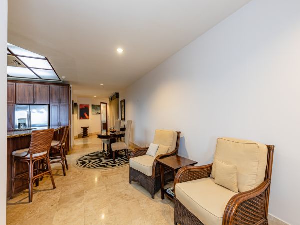 Tamarindo Condo 964833