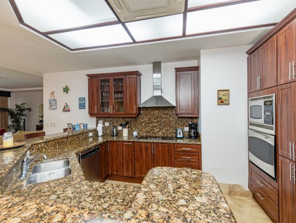 Tamarindo Condo 964833