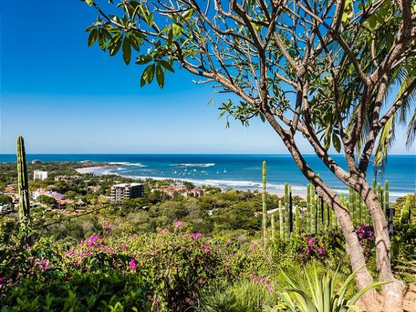 The Ultimate luxury Tamarindo