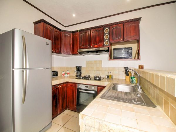 Tamarindo Condo 964844