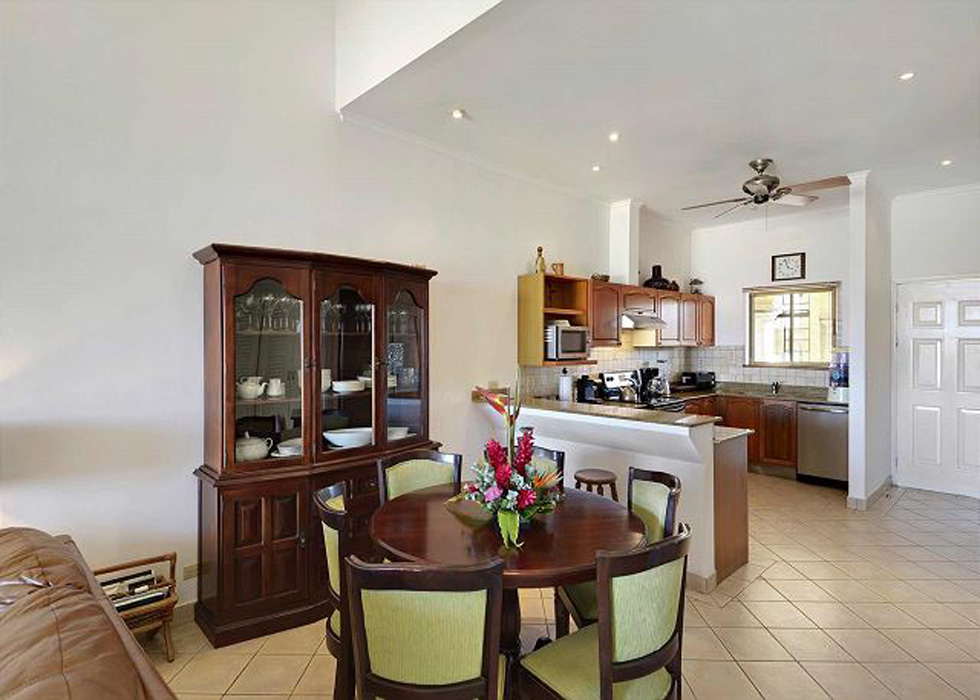 Tamarindo Condo 964847