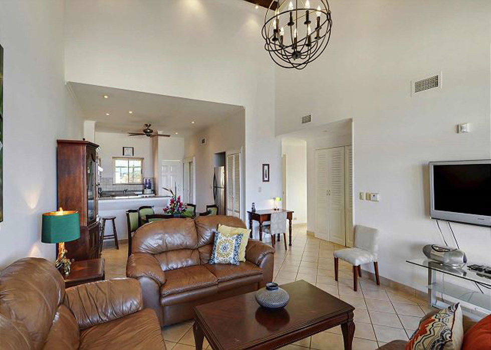 Tamarindo Condo 964847