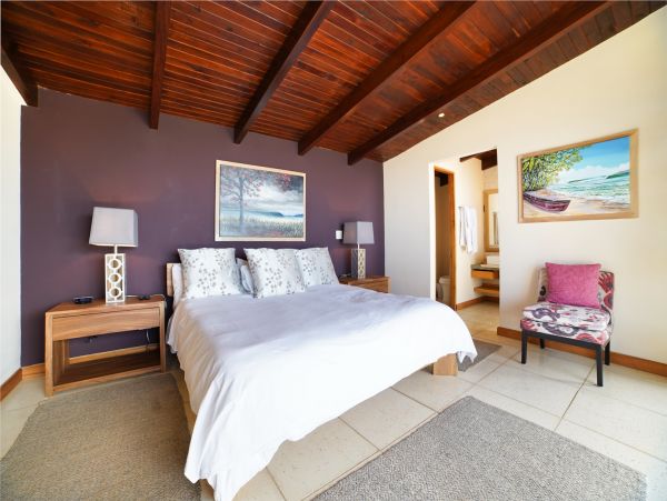 Tamarindo Vacation Pool Home Ocean Views Five Bedroom