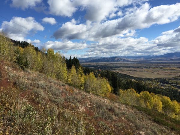 Mountain View Jackson Hole Vacation Home Three Bedroom