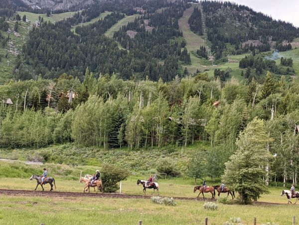 Mountain View Jackson Hole Vacation Home Three Bedroom