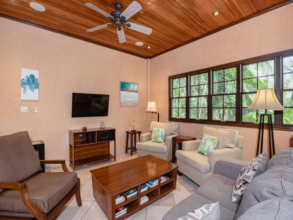 Tamarindo Condo 964858