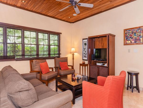 Tamarindo Condo 964867