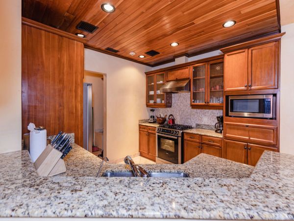 Tamarindo Condo 964867