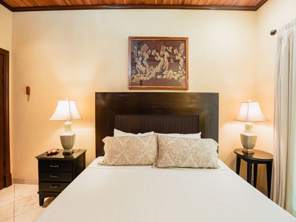 Tamarindo Condo 964867
