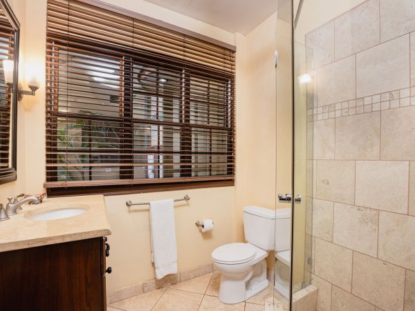 Tamarindo Condo 964867