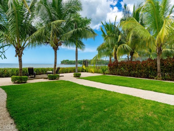 Tamarindo Home 964868