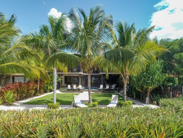 Tamarindo Home 964868