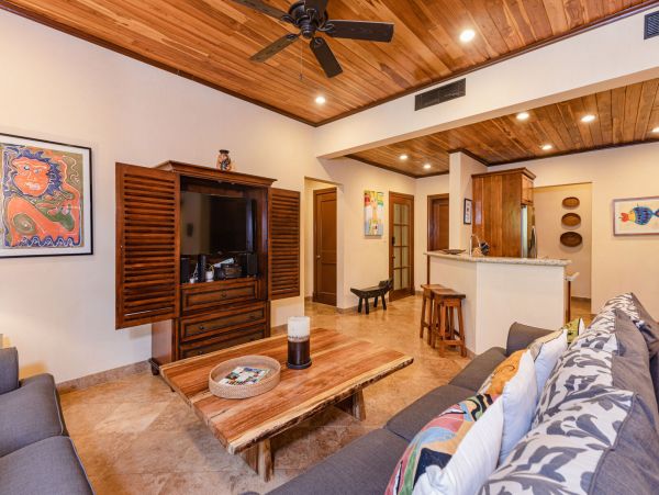 Tamarindo Condo 964871