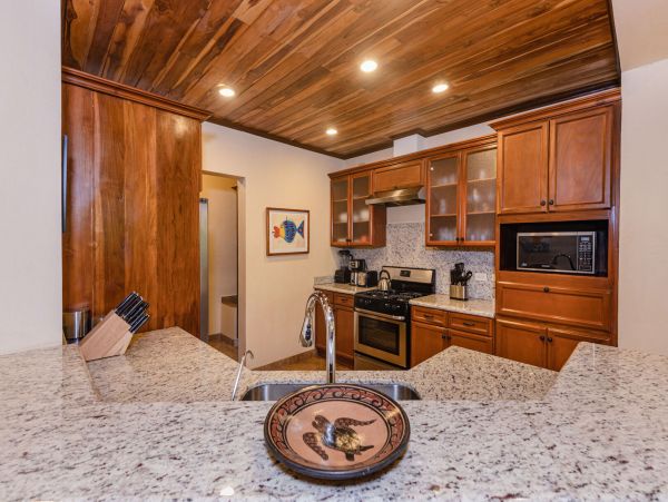 Tamarindo Condo 964871
