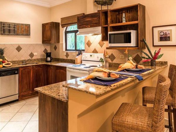 Tamarindo Condo 964873