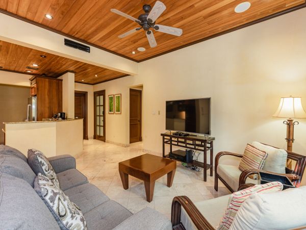 Tamarindo Condo 964874